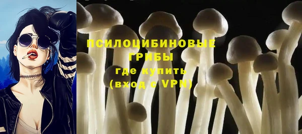 дмт Балахна