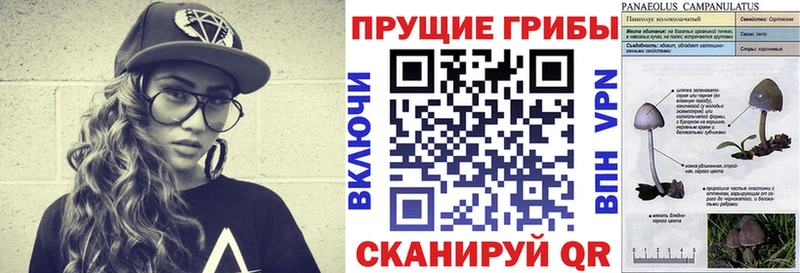 Галлюциногенные грибы ЛСД  хочу   Лахденпохья 
